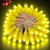 Đèn led đúc F5 12V màu vàng chanh