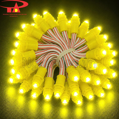 Đèn led đúc F5 12V màu vàng chanh